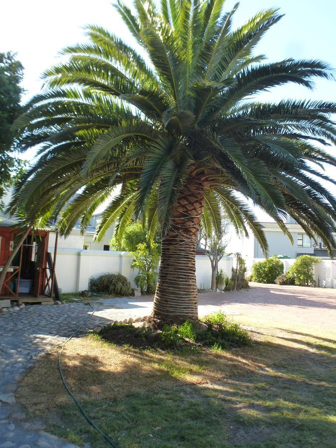 Cape Town Milnerton Lagoon Villa Exterior photo